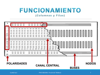 CLASE No.5 PROTOBOARD / PLACA DE TRABAJO 7
NODOS
BUSES
POLARIDADES
CANAL CENTRAL
 