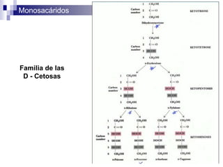 Monosacáridos
12 / 89
Familia de las
D - Cetosas
 