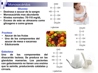 Monosacáridos
Glucosa
• Dextrosa o azucar de la sangre
• Monosacárido mas abundante
• Niveles normales: 70-110 mg/dL
• Exceso de este se almacena como
glicogeno o como grasas
Fructosa
• Azucar de las frutas
• Uno de los componentes del
azucar de mesa o sacarosa
• Edulcorante
Galactosa
Uno de los componentes del
disacarido lactosa. Se produce en las
glandulas mamarias. Los pacientes
con galactosemia no tienen una enzima
que la asimile, produciendo catatatas y
cirrosis.
 