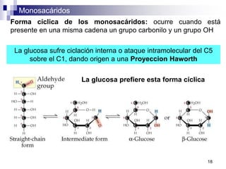 Monosacáridos
18
Forma cíclica de los monosacáridos: ocurre cuando está
presente en una misma cadena un grupo carbonilo y un grupo OH
La glucosa sufre ciclación interna o ataque intramolecular del C5
sobre el C1, dando origen a una Proyeccion Haworth
La glucosa prefiere esta forma cíclica
 