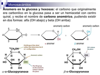 Monosacáridos
20
Anomero en la glucosa y hexosas: el carbono que originalmente
era carbonilico en la glucosa pasa a ser un hemiacetal con centro
quiral, y recibe el nombre de carbono anomérico, pudiendo existir
en dos formas: alfa (OH abajo) y beta (OH arriba):
 
