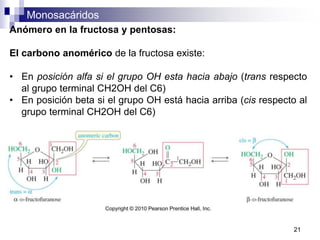 Monosacáridos
21
Anómero en la fructosa y pentosas:
El carbono anomérico de la fructosa existe:
• En posición alfa si el grupo OH esta hacia abajo (trans respecto
al grupo terminal CH2OH del C6)
• En posición beta si el grupo OH está hacia arriba (cis respecto al
grupo terminal CH2OH del C6)
 