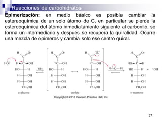 Reacciones de carbohidratos
27
Epimerización: en medio básico es posible cambiar la
estereoquímica de un solo átomo de C, en particular se pierde la
estereoquímica del átomo inmediatamente siguiente al carbonilo, se
forma un intermediario y después se recupera la quiralidad. Ocurre
una mezcla de epimeros y cambia solo ese centro quiral.
 