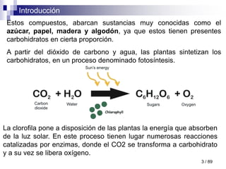 Introducción
3 / 89
Estos compuestos, abarcan sustancias muy conocidas como el
azúcar, papel, madera y algodón, ya que estos tienen presentes
carbohidratos en cierta proporción.
A partir del dióxido de carbono y agua, las plantas sintetizan los
carbohidratos, en un proceso denominado fotosíntesis.
La clorofila pone a disposición de las plantas la energía que absorben
de la luz solar. En este proceso tienen lugar numerosas reacciones
catalizadas por enzimas, donde el CO2 se transforma a carbohidrato
y a su vez se libera oxígeno.
 