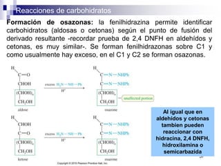 Reacciones de carbohidratos
37
Formación de osazonas: la fenilhidrazina permite identificar
carbohidratos (aldosas o cetonas) según el punto de fusión del
derivado resultante -recordar prueba de 2,4 DNFH en aldehídos y
cetonas, es muy similar-. Se forman fenilhidrazonas sobre C1 y
como usualmente hay exceso, en el C1 y C2 se forman osazonas.
Al igual que en
aldehídos y cetonas
tambien pueden
reaccionar con
hidracina, 2,4 DNFH,
hidroxilamina o
semicarbazida
 