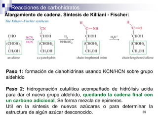 Reacciones de carbohidratos
39
Alargamiento de cadena. Sintesis de Killiani - Fischer:
Paso 1: formación de cianohidrinas usando KCN/HCN sobre grupo
aldehído
Paso 2: hidrogenación catalítica acompañado de hidrólisis acida
para dar el nuevo grupo aldehído, quedando la cadena final con
un carbono adicional. Se forma mezcla de epimeros.
Util en la síntesis de nuevos azúcares o para determinar la
estructura de algún azúcar desconocido.
 