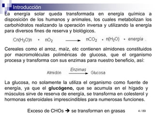 Introducción
4 / 89
La energía solar queda transformada en energía química a
disposición de los humanos y animales, los cuales metabolizan los
carbohidratos realizando la operación inversa y utilizando la energía
para diversos fines de reserva y biológicos.
Cereales como el arroz, maíz, etc contienen almidones constituidos
por macromoléculas poliméricas de glucosa, que el organismo
procesa y transforma con sus enzimas para nuestro beneficio, así:
La glucosa, no solamente la utiliza el organismo como fuente de
energía, ya que el glucógeno, que se acumula en el hígado y
músculos sirve de reserva de energía, se transforma en colesterol y
hormonas esteroidales imprescindibles para numerosas funciones.
Exceso de CHOs  se transforman en grasas
 