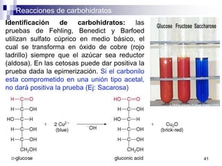Reacciones de carbohidratos
41
Identificación de carbohidratos: las
pruebas de Fehling, Benedict y Barfoed
utilizan sulfato cúprico en medio básico, el
cual se transforma en óxido de cobre (rojo
ladrillo) siempre que el azúcar sea reductor
(aldosa). En las cetosas puede dar positiva la
prueba dada la epimerización. Si el carbonilo
esta comprometido en una unión tipo acetal,
no dará positiva la prueba (Ej: Sacarosa)
 