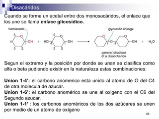 Disacáridos
44
Cuando se forma un acetal entre dos monosacáridos, el enlace que
los une se llama enlace glicosídico.
Segun el extremo y la posición por donde se unan se clasifica como
alfa o beta pudiendo existir en la naturaleza estas combinaciones:
Union 1-4’: el carbono anomerico esta unido al atomo de O del C4
de otra molecula de azucar.
Union 1-6’: el carbono anomérico se une al oxigeno con el C6 del
Segundo azucar.
Union 1-1’ : los carbonos anoméricos de los dos azúcares se unen
por medio de un atomo de oxígeno
 