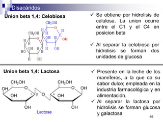 Disacáridos
46
Union beta 1,4: Celobiosa  Se obtiene por hidrolisis de
celulosa. La union ocurre
entre el C1 y el C4 en
posicion beta
 Al separar la celobiosa por
hidrolisis se forman dos
unidades de glucosa
Union beta 1,4: Lactosa  Presente en la leche de los
mamíferos, a la que da su
sabor dulce; empleada en la
industria farmacológica y en
alimentación.
 Al separar la lactosa por
hidrolisis se forman glucosa
y galactosa
 