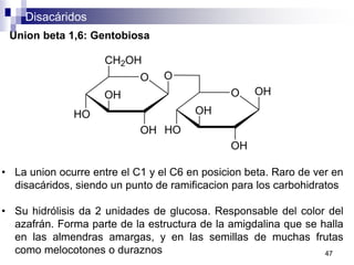 Disacáridos
47
Union beta 1,6: Gentobiosa
• La union ocurre entre el C1 y el C6 en posicion beta. Raro de ver en
disacáridos, siendo un punto de ramificacion para los carbohidratos
• Su hidrólisis da 2 unidades de glucosa. Responsable del color del
azafrán. Forma parte de la estructura de la amigdalina que se halla
en las almendras amargas, y en las semillas de muchas frutas
como melocotones o duraznos
 