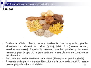 Polisacáridos y otros carbohidratos
50
Almidón.
• Sustancia sólida, blanca, amorfa sustancia con la que las plantas
almacenan su alimento en raíces (yuca), tubérculos (patata), frutas y
semillas (cereales). Importante reserva para las plantas y los seres
humanos pues proporciona gran parte de la energía que se consume en
los alimentos.
• Se compone de dos unidades de amilosa (20%) y amilopectina (80%)
• Presente en la papa y la yuca. Reacciona a la prueba de Lugol formando
un complejo de color azul violeta.
 