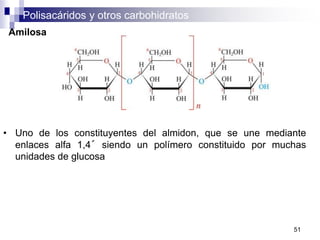Polisacáridos y otros carbohidratos
51
Amilosa
• Uno de los constituyentes del almidon, que se une mediante
enlaces alfa 1,4´ siendo un polímero constituido por muchas
unidades de glucosa
 