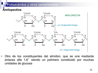 Polisacáridos y otros carbohidratos
52
Amilopectina
• Otro de los constituyentes del almidon, que se une mediante
enlaces alfa 1,6´ siendo un polímero constituido por muchas
unidades de glucosa
 
