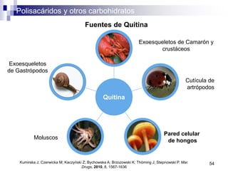 Polisacáridos y otros carbohidratos
54
Cutícula de
artrópodos
Kumirska J; Czerwicka M; Kaczyński Z; Bychowska A; Brzozowski K; Thöming J; Stepnowski P. Mar.
Drugs, 2010, 8, 1567-1636
Exoesqueletos
de Gastrópodos
Pared celular
de hongos
Exoesqueletos de Camarón y
crustáceos
Quitina
Moluscos
Fuentes de Quitina
 