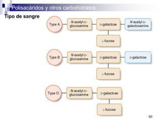 Polisacáridos y otros carbohidratos
60
Tipo de sangre
 