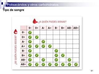 Polisacáridos y otros carbohidratos
61
Tipo de sangre
 