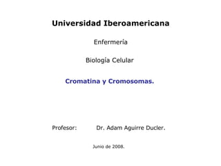 Profesor: Dr. Adam Aguirre Ducler.   Junio de 2008. Cromatina y Cromosomas. Universidad Iberoamericana Enfermería Biología Celular  