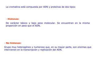La cromatina está compuesta por ADN y proteínas de dos tipos: -  Histonas: De carácter básico y bajo peso molecular.   Se encuentran en la misma proporción en peso que el ADN.   -  No histonas: Grupo muy heterogéneo y numeroso que, en su mayor parte, son enzimas que   intervienen en la transcripción y replicación del ADN. 