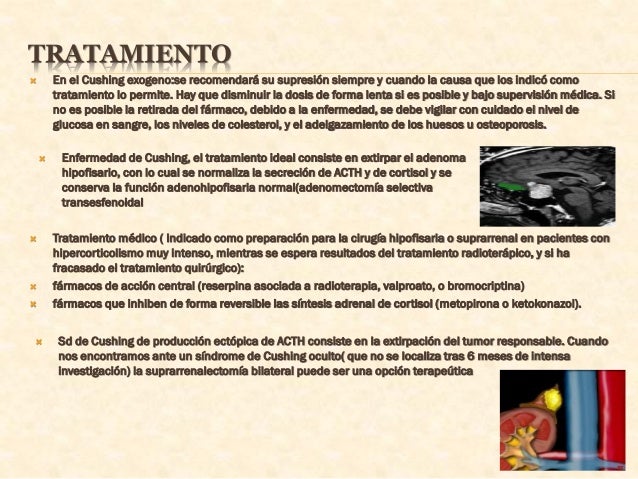 Como adelgazar gratis las recetas
