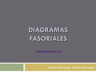 María Fernanda Molina Morocho DIAGRAMAS FASORIALES www . espol . edu . ec 