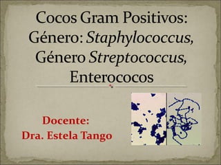 Docente:
Dra. Estela Tango
 