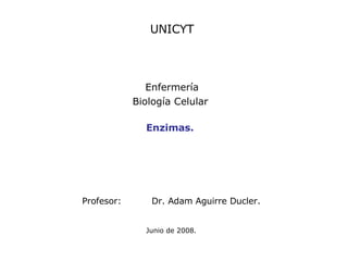 UNICYT Enfermería Biología Celular  Profesor: Dr. Adam Aguirre Ducler.   Junio de 2008. Enzimas. 