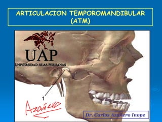 ARTICULACION TEMPOROMANDIBULAR
             (ATM)




                         Dr. Carlos Azañero Inope
           Dr. Carlos Azañero Inope