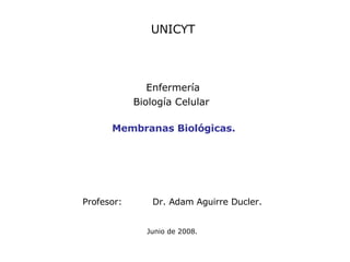 Profesor: Dr. Adam Aguirre Ducler.   Junio de 2008. Membranas Biológicas. UNICYT Enfermería Biología Celular  