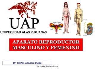 APARATO REPRODUCTOR
MASCULINO Y FEMENINO


Dr. Carlos Azañero Inope
                    Dr. Carlos Azañero Inope