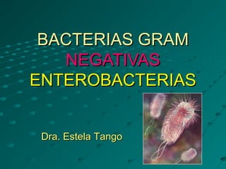 BACTERIAS GRAM
   NEGATIVAS
ENTEROBACTERIAS


 Dra. Estela Tango
 