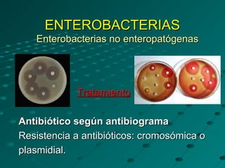 ENTEROBACTERIAS
   Enterobacterias no enteropatógenas




            Tratamiento

Antibiótico según antibiograma
Resistencia a antibióticos: cromosómica o
plasmidial.
 