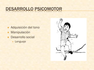 DESARROLLO PSICOMOTOR
 Adquisición del tono
 Manipulación
 Desarrollo social
 Lenguaje
 