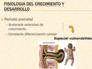 FISIOLOGIA DEL CRECIMIENTO Y
DESARROLLO
 Periodo prenatal
 Acelerada velocidad de
crecimiento
 Constante diferenciación celular
Especial vulnerabilidad
 