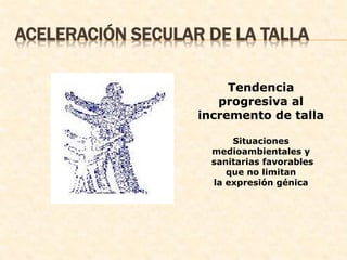 ACELERACIÓN SECULAR DE LA TALLA
Tendencia
progresiva al
incremento de talla
Situaciones
medioambientales y
sanitarias favorables
que no limitan
la expresión génica
 