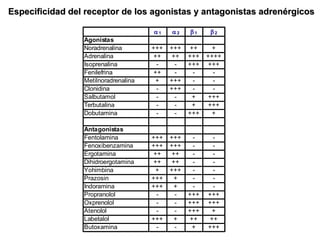 Especificidad del receptor de los agonistas y antagonistas adrenérgicos 