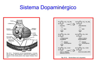 Sistema Dopaminérgico 