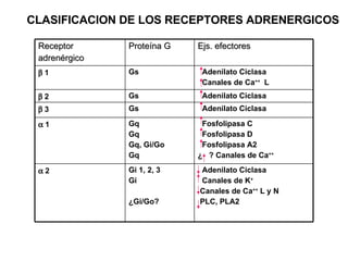 CLASIFICACION DE LOS RECEPTORES ADRENERGICOS Adenilato Ciclasa Canales de K + Canales de Ca ++  L y N PLC, PLA2 Gi 1, 2, 3...