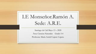 I.E Monseñor.Ramón A.
Sede: A.R.E.
Santiago de Cali Mayo 13 – 2020
Área: Ciencias Naturales Grado 5-4
Profesora: María Astrid Copete Copete.
 