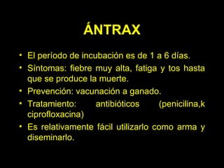 El período de incubación es de 1 a 6 días . S íntomas :  fiebre muy alta, fatiga y tos hasta que se produce la muerte.  P reven ción:  vacuna ción a ganado. T rata miento:  antibióticos  ( penicilina ,k ciprofloxacina)   E s relativamente fácil utilizarlo como arma y diseminarlo.  ÁNTRAX 