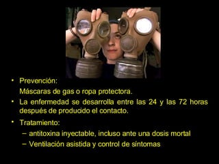Prevención:  M áscaras de gas o ropa protectora.  La enfermedad se desarrolla entre las 24 y las 72 horas después de producido el contacto.  Tratamiento:   antitoxina inyectable, incluso ante una dosis mortal Ventilación asistida y control de síntomas 
