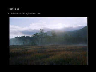 HUMEDAD Es el contenido de agua en el aire. 