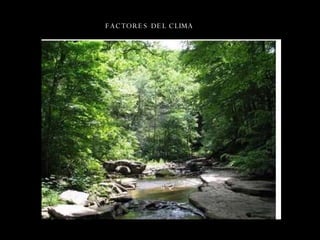 FACTORES DEL CLIMA 