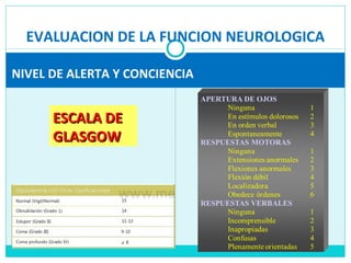 EVALUACION DE LA FUNCION NEUROLOGICA
NIVEL DE ALERTA Y CONCIENCIA
ESCALA DEESCALA DE
GLASGOWGLASGOW
 