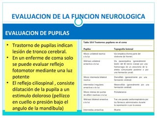 EVALUACION DE LA FUNCION NEUROLOGICA
EVALUACION DE PUPILAS
• Trastorno de pupilas indican
lesión de tronco cerebral.
• En un enferme de coma solo
se puede evaluar reflejo
fotomotor mediante una luz
potente
• El reflejo ciliospinal , consiste
dilatación de la pupila a un
estimulo doloroso (pellizco
en cuello o presión bajo el
angulo de la mandíbula)
 