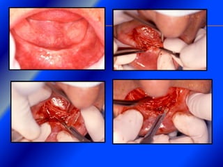 Clase Conexiones 2008 Alumn