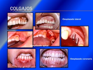 Clase Conexiones 2008 Alumn