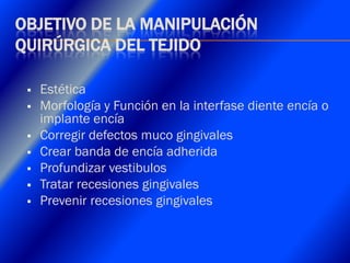 Clase Conexiones 2008 Alumn