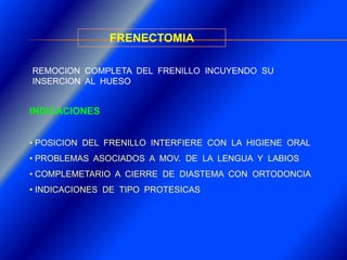 Clase Conexiones 2008 Alumn