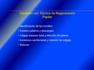 Clase Conexiones 2008 Alumn